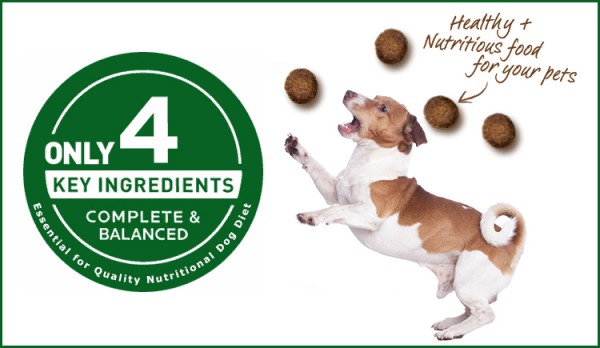 Balanced Nutritional Diet for Dogs?