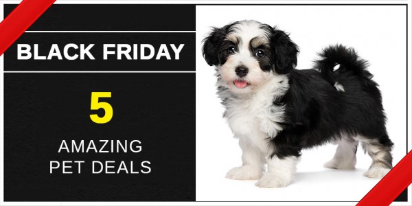 Black Friday 5 Amazing Pet Deals