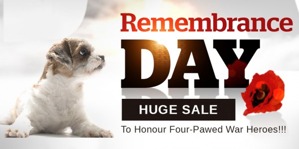Remembrance Day Huge Sale