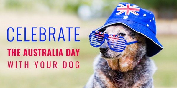 Celebrate The Australia Day With Your Dog