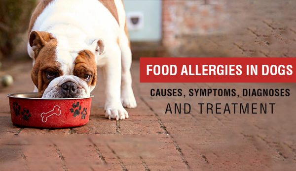 Food allergies, causes, symptoms and Treatment