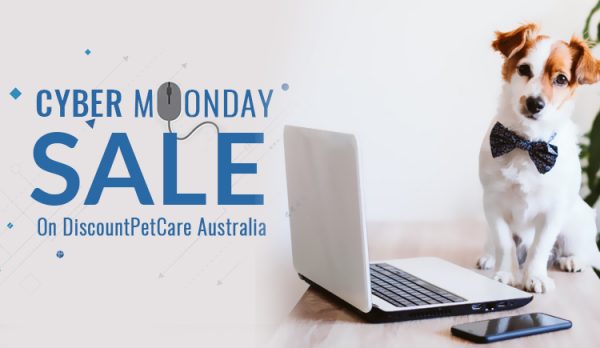 Cyber Monday Sale on Pet Supplies