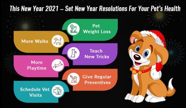 New Year Sale 2021 Pet Supplies