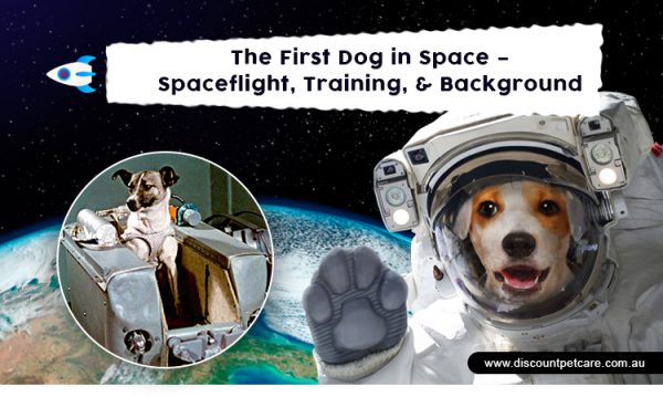Laika - Dog in Space