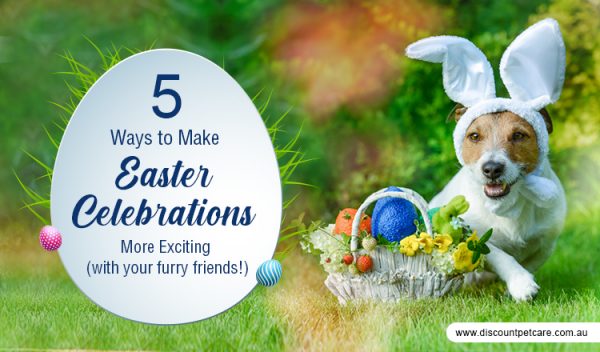 5 Ways to Make Easter Celebrations More Exciting