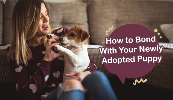 How To Bond With Your Newly Adopted Puppy