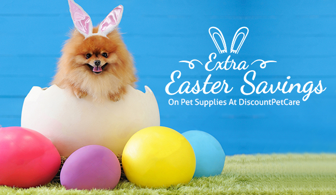 Extra Easter Savings On Pet Supplies At DiscountPetCare