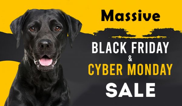 Massive Black Friday And Cyber Monday Sale 2023