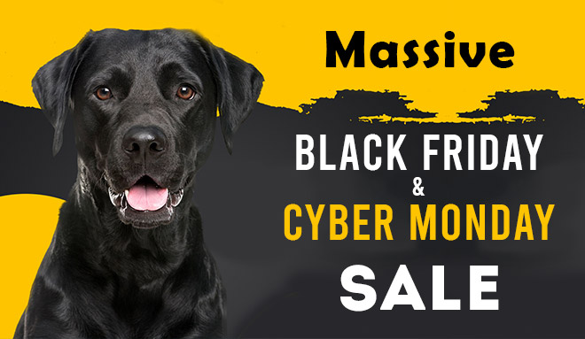 Massive Black Friday And Cyber Monday Sale