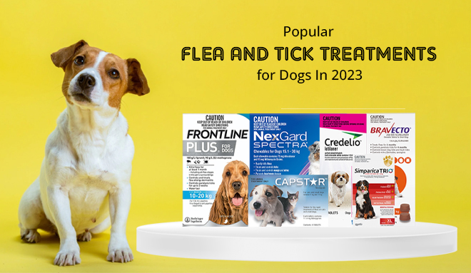 Popular Flea and Tick Treatments for Dogs In 2023