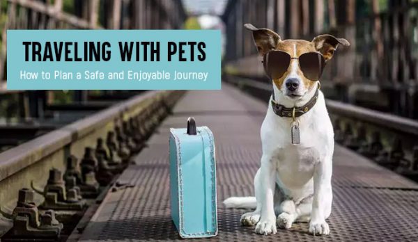 Traveling With Pets