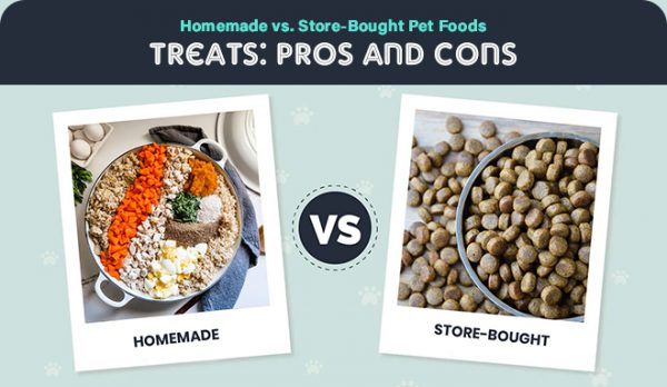 Homemade vs. Store-Bought Pet Foods and Treats: Pros and Cons