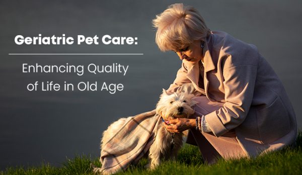 Geriatric Pet Care