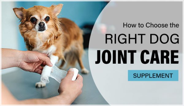 Dog Joint Care Supplement