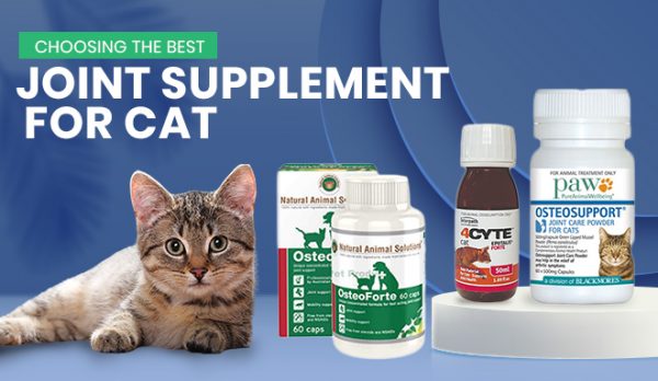 Choosing the Best Joint Supplement for Cats