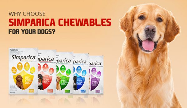 Simparica Chewables for Your Dogs
