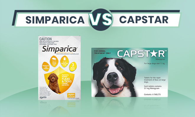Simparica vs Capstar