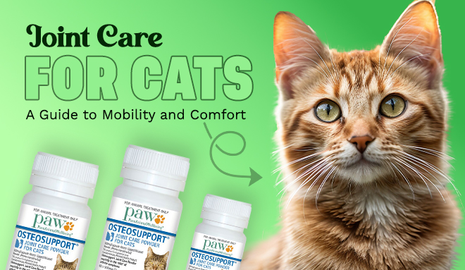 Joint Care for Cats