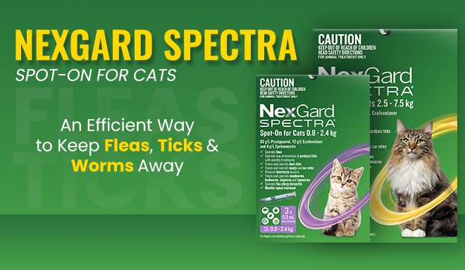 Nexgard Spectra for Cats