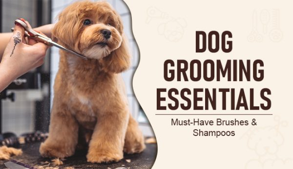 Dog Grooming Essentials