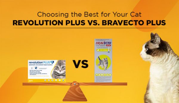 Revolution Plus vs. Bravecto Plus