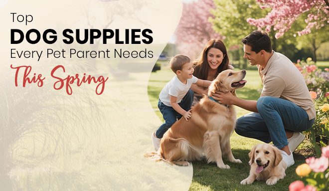 Top Dog Supplies Every Pet Parent Needs This Spring