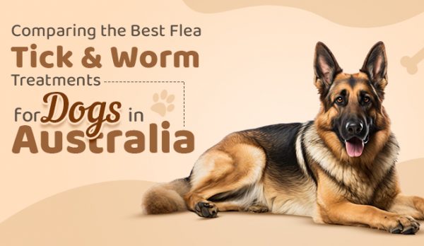 best flea treatment for dogs, tick prevention for dogs, dog worming treatments, Bravecto for dogs, Nexgard for dogs, Simparica for dogs, dog parasite protection, flea and tick control Australia
