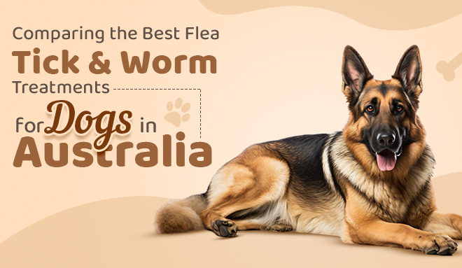 best flea treatment for dogs, tick prevention for dogs, dog worming treatments, Bravecto for dogs, Nexgard for dogs, Simparica for dogs, dog parasite protection, flea and tick control Australia