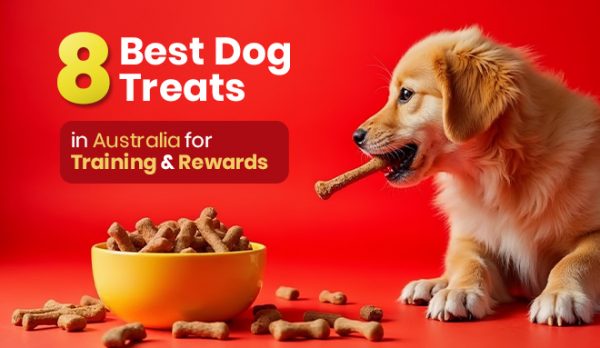 Best Dog Treats in Australia