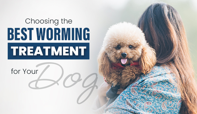 Choosing the Best Worming Treatment for Your Dog