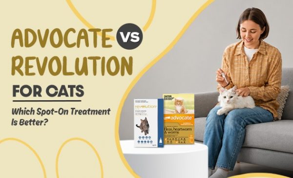 Advocate Vs Revolution for Cats: Which Spot-On Treatment Is Better
