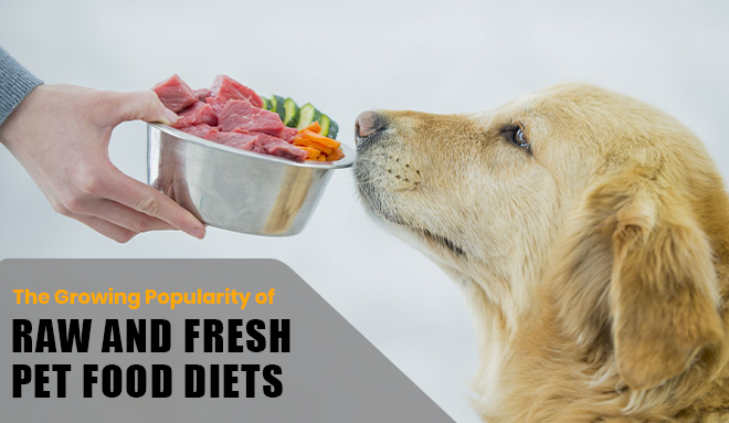 Fresh Pet Food Diets