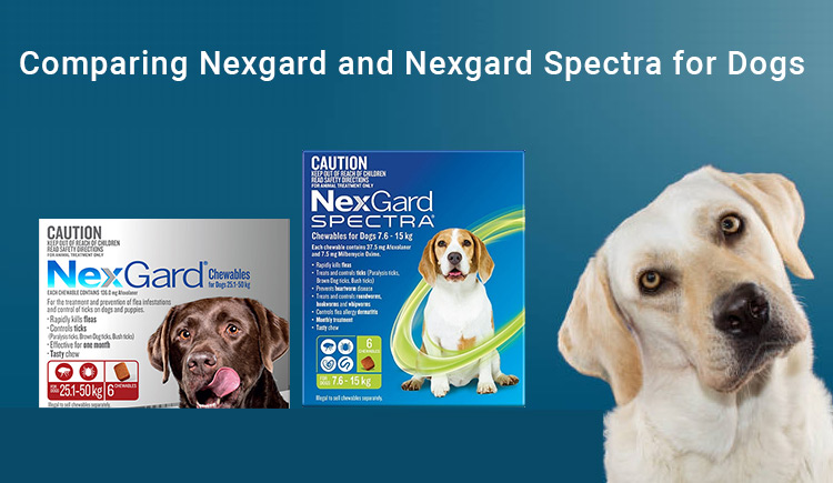 Comparing Nexgard and Nexgard Spectra for Dogs