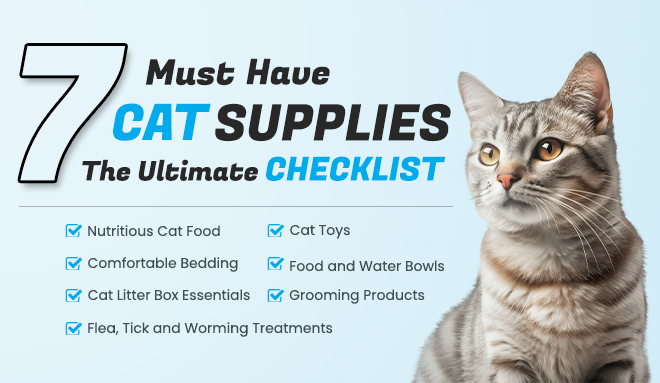 Cat Supplies