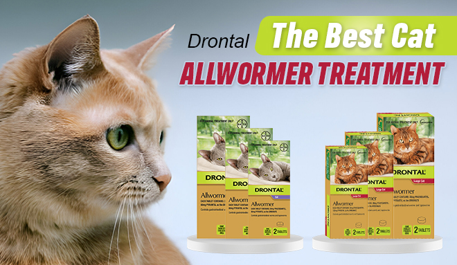 Drontal Cat Allwormers