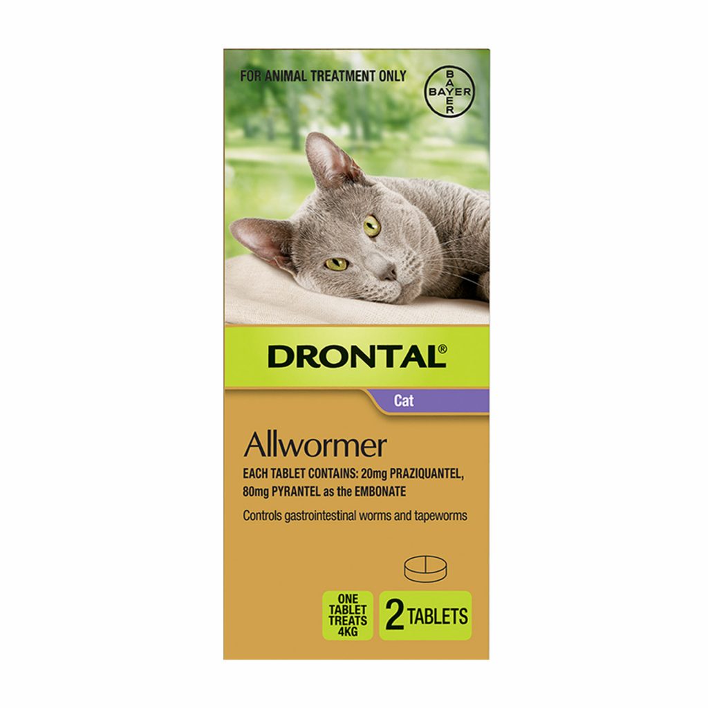Drontal for Cats