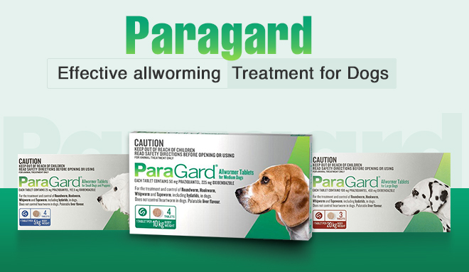 Paragard Effective Allworming Treatment for Dogs