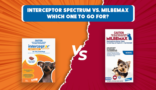 Interceptor Spectrum vs. Milbemax