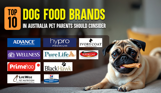 Dog Food Brands in Australia