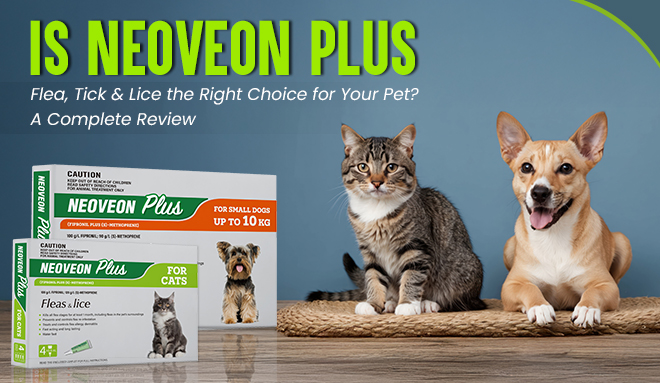 Neoveon Plus Flea, Tick & Lice the Right Choice for Your Pet