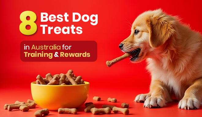 Best Dog Treats in Australia
