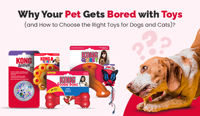 Right Toys for Dogs and Cats