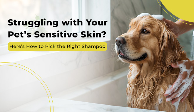 Best Shampoos for Dogs and Cats with Sensitive Skin