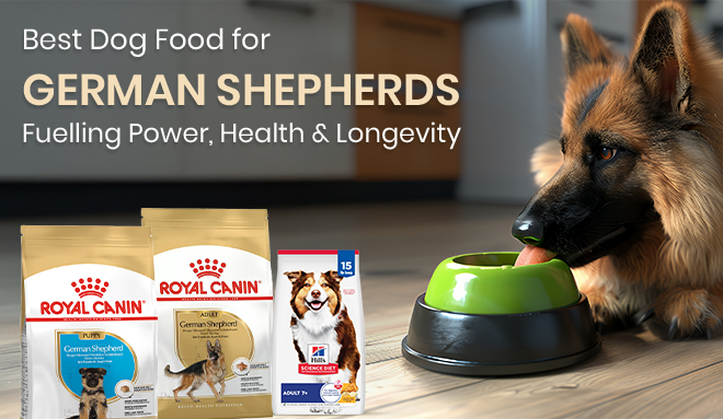 Dog Food for German Shepherds