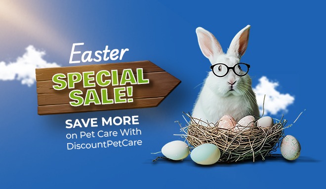 Easter Special Sale