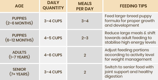 Dog Food for German Shepherds