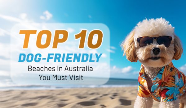 10 Dog-Friendly Beaches