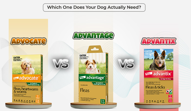 Advocate vs. Advantage vs. Advantix – Which One Does Your Dog Actually Need?