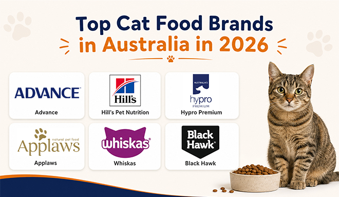 Top Cat Food Brands in Australia in 2026