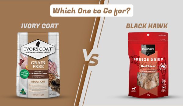 Black Hawk vs. Ivory Coat – Which One to Go for
